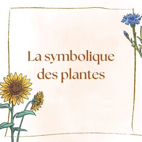 La symbolique des plantes